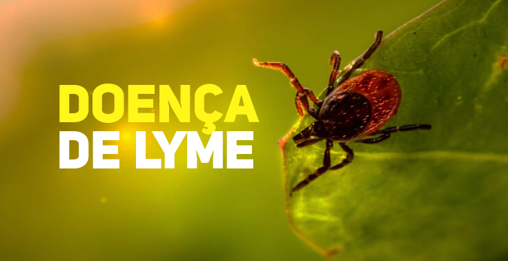 Fotografia de um carrapato sobre uma folha verde ao lado do texto 'Doença de Lyme'.